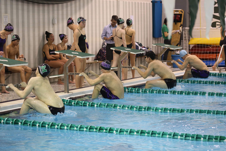 Swimmers from Methacton and Phoenixville get ready to start the 100 yard backstroke. 
