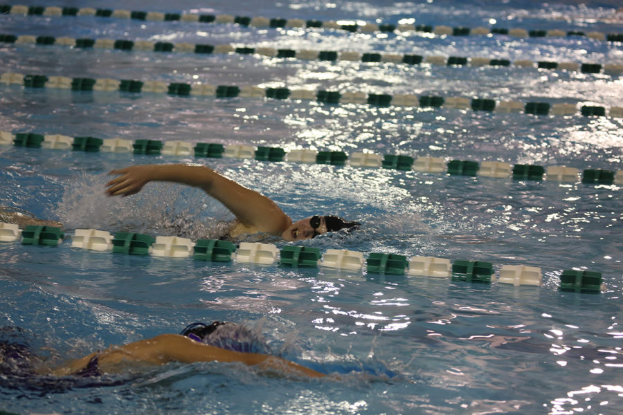 Senior Kaela Boss (far lane) swims the 500 yard freestyle while close to her competitor from Phoenixville. 
