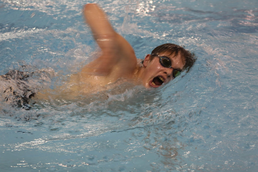 Junior Harry Taylor swims the 500 yard freestyle. 
