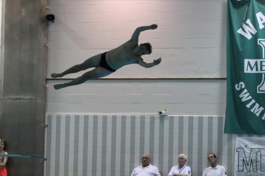 Senior Max Markowitz performed a back dive half twist in the opening portion of the boys diving event.  
