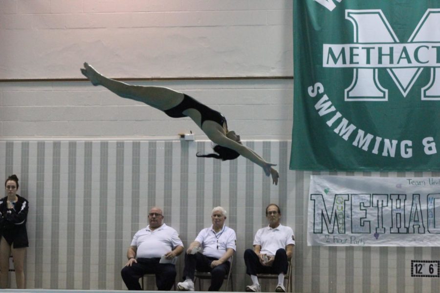 Senior Hayden Aubrey angled toward the water during her fist dive of the senior meet.
