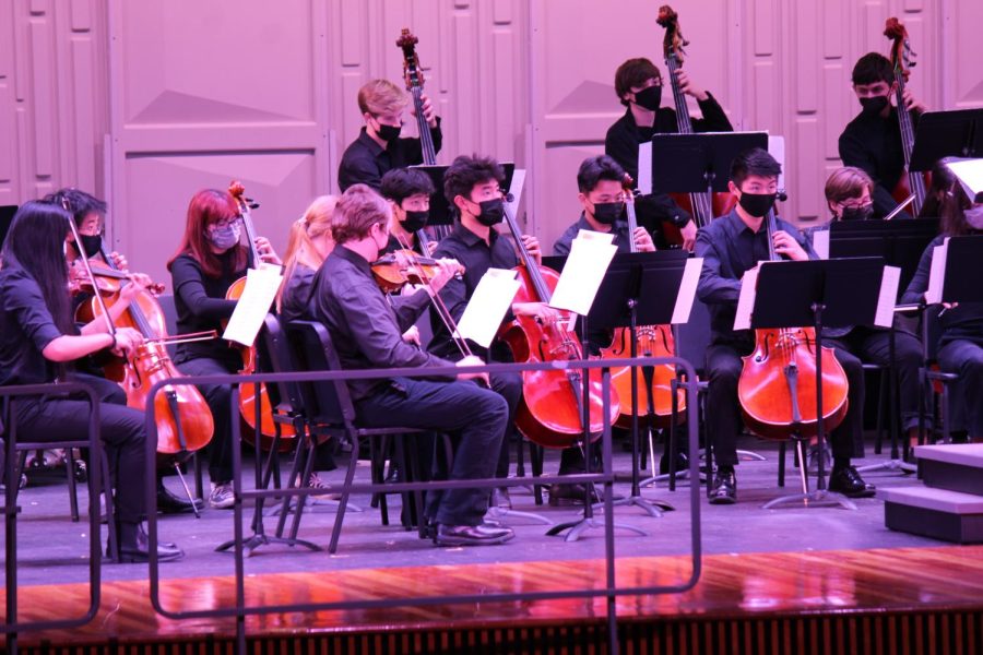 The cello and bass sections of the orchestra perform Canto during Suite for Strings.