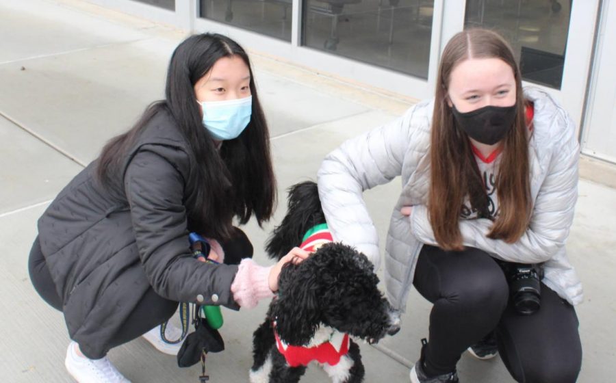 Senior Iris Gong and freshman Kathleen Kenny pet a dog prior to its photo shoot.
