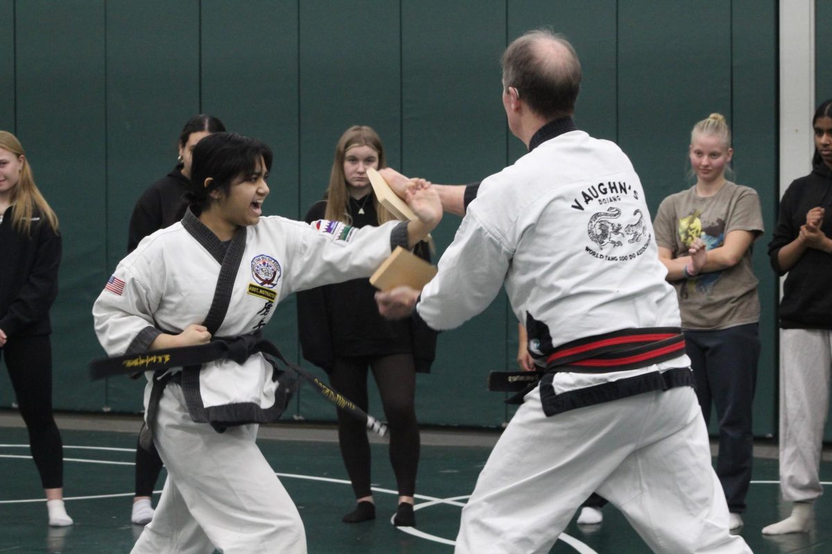 MHS student instructor Aarya Bhoir demonstrates the breaking of a board